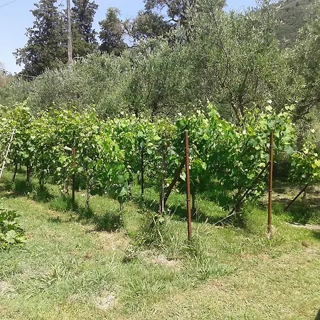 Apartamento Vasso's *